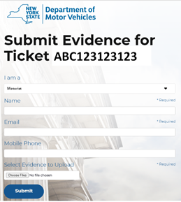 submit evidence login page