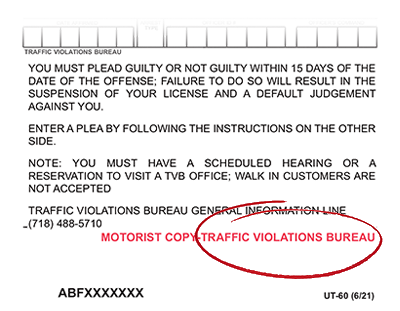 sample traffic ticket