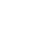 Shield outline around a locked padlock